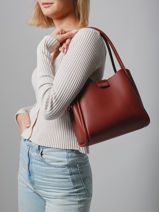 Sac Port paule Alpes David jones Marron alpes 1-vue-porte