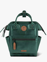 Rugzak Adventurer Gerecycleerd Polyester Cabaia Groen adventurer XS