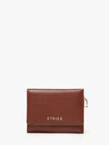 Portemonnee S Tradition Leder Etrier Bruin tradition ETRA095S