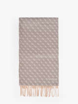 charpe Guess Gris accessoires 423POL03