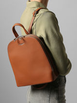Sac � Dos Miniprix Marron grained F2547-vue-porte
