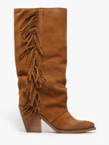 Bottes  Talon En Cuir Metisse Marron women XD1040