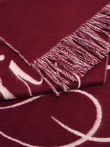 charpe Tommy hilfiger Rouge tommy script logo AW17786-vue-porte