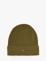 Bonnet Tommy hilfiger Vert th flag AM12796