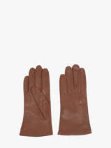 Handschoenen Isotoner Bruin women gloves 68285