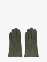 Gants Isotoner Vert women gloves 85264