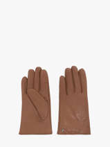 Gants Isotoner Marron women gloves 85264