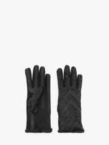 Handschoenen Isotoner Zwart women gloves 85304