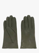 Gants Isotoner Vert women gloves 85264