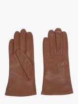 Gants Isotoner Marron women gloves 68285