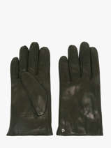 Gants Isotoner Noir women gloves 85264