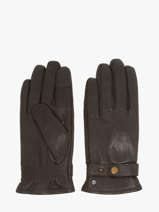 Gants Isotoner Marron men gloves 85361