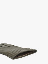 Handschoenen Isotoner Groen women gloves 85359-vue-porte