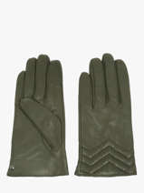 Gants Isotoner Vert women gloves 85359