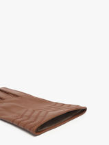 Gants Isotoner Marron women gloves 85359-vue-porte