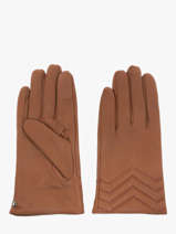 Handschoenen Isotoner Bruin women gloves 85359