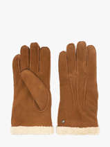 Gants Isotoner Marron women gloves 68451