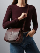 Sac Bandoulire Heritage Cuir Biba Violet heritage HAK2L-vue-porte