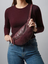 Sac Banane Heritage Cuir Biba Violet heritage HAK5L-vue-porte