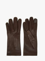 Gants Femme Cuir Etrier Marron accessoires EGLO416G