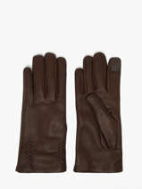 Dameshandschoenen Leder Etrier Bruin accessoires EGLO412G