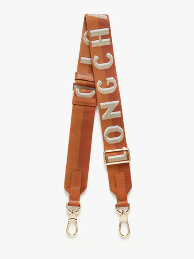 Longchamp Bandouli�re ombr�e Juwelen