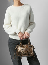 Sac Port Main Pp Victoire Miniprix Or pp victoire R1979-vue-porte