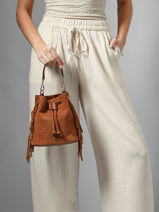 Sac Bandouli�re Country Etrier Marron country ECOU194S-vue-porte