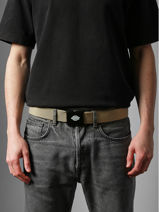 Ceinture Orcutt Dickies Beige orcutt KD0A4X7E-vue-porte