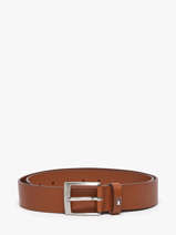 Ceinture Tommy hilfiger Marron adan new AM13014
