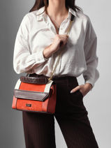 Cross Body Tas Ninon Color Block Leder Lancel Veelkleurig ninon A13370-vue-porte