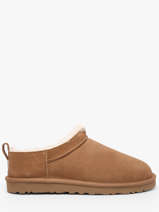 Classic Micro Ugg Bruin men 1180190
