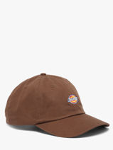 Casquette Dickies Marron hardwick KD0A4TKV-vue-porte