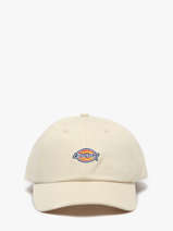 Casquette Dickies Beige hardwick KD0A4TKV