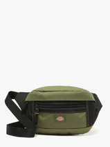 Sac Banane Ashville Dickies Vert ashville KD0A4Y1U