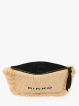 Sac De Soir�e Logo Raphia Pinko Beige logo shopper 6718A39Y-vue-porte