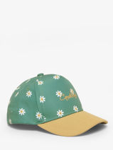 Pet Cameleon Groen vintage fantasy PBVGCAP1-vue-porte