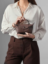 Longchamp Le pliage xtra Pochette Marron-vue-porte
