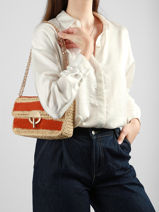 Cross Body Tas Moon Raphia Raphia Vanessa bruno Oranje moon raphia 23V40533-vue-porte