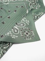 Longchamp Soie gots Etole Vert-vue-porte