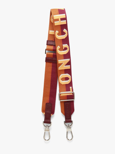 Longchamp Bandouli�re ombr�e Juwelen Veelkleurig
