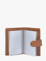 Kaarthouder Leder Hexagona Bruin confort 467254R-vue-porte