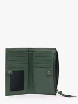 Portefeuille Leder Biba Groen wallet 12138-vue-porte