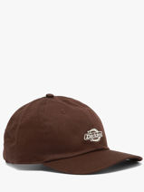 Casquette Essential Dad Cap Dickies Marron accessoires DK0A4Z6N-vue-porte