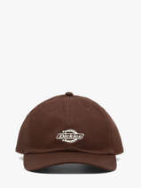 Casquette Essential Dad Cap Dickies Marron accessoires DK0A4Z6N