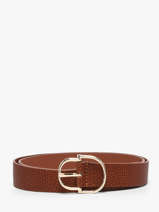 Ceinture Tommy hilfiger Marron belt AW19145