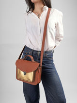 Sac Mademoiselle George Cuir Paul marius Marron dore GEORGDOR-vue-porte