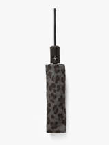 Paraplu Annalia Pieces Grijs annalia 17168746