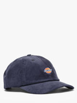 Pet Dickies Blauw accessoires DK0A4ZAY-vue-porte