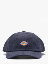 Casquette Dickies Bleu accessoires DK0A4ZAY